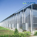 Invernadero de la lámina de policarbonato agrícola de múltiples extensiones